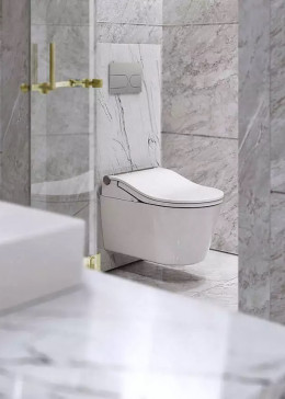 TOTO RW УМНЫЙ УНИТАЗ С WASHLET С АВТОСМЫВОМ (полный комплект)
